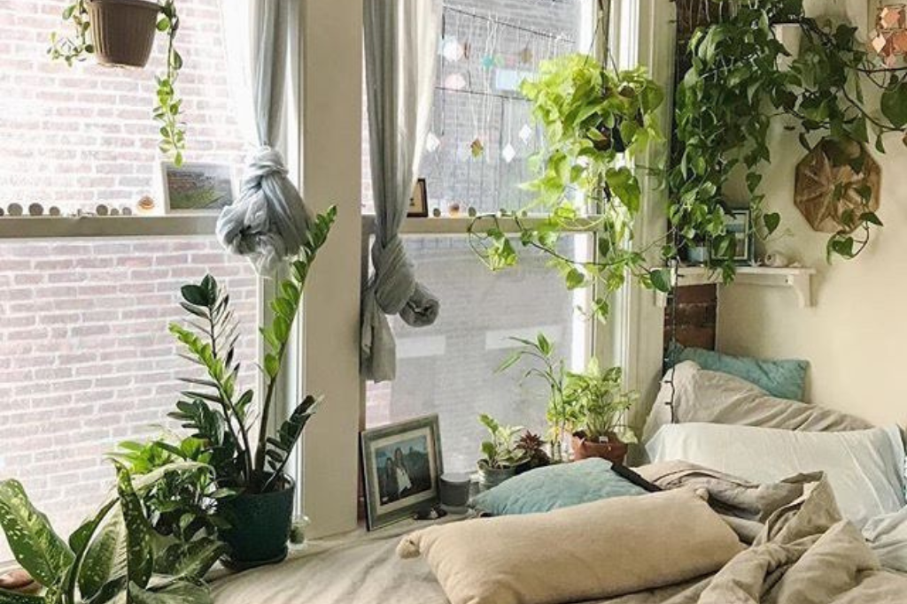 The Ultimate Guide To Houseplants: Bringing Nature Indoors