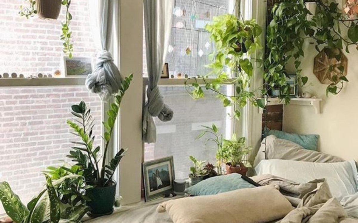 The Ultimate Guide To Houseplants: Bringing Nature Indoors